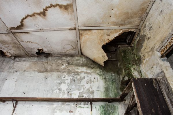 Water Damage Service in Rochester