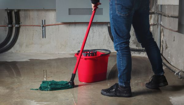 Flooded Basement Cleanup in Rochester