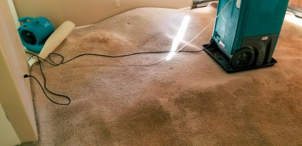 Flood Damage Cleanup in Rochester