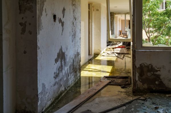Water Removal Service in Rochester