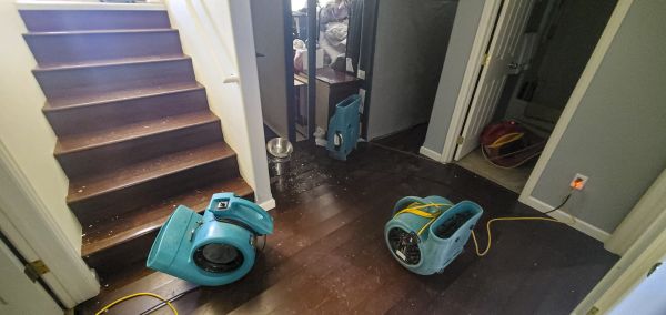 Water Damage Remediation in Rochester
