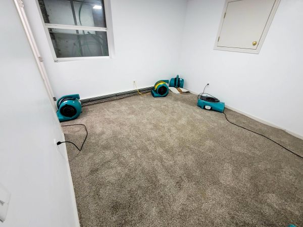 Flood Restoration Service in Rochester