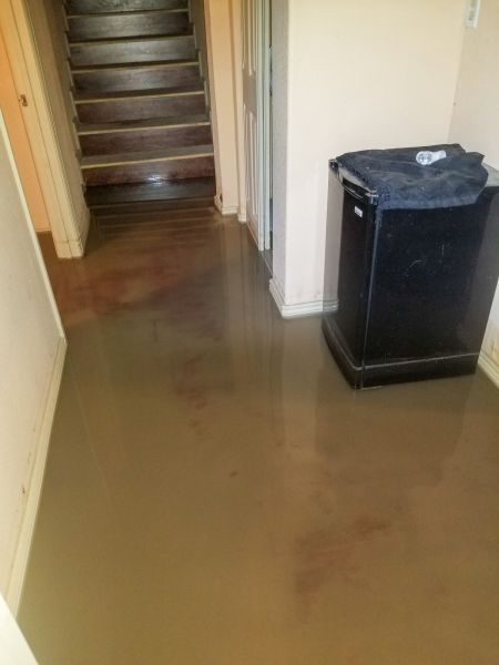 Emergency Water Removal in Rochester
