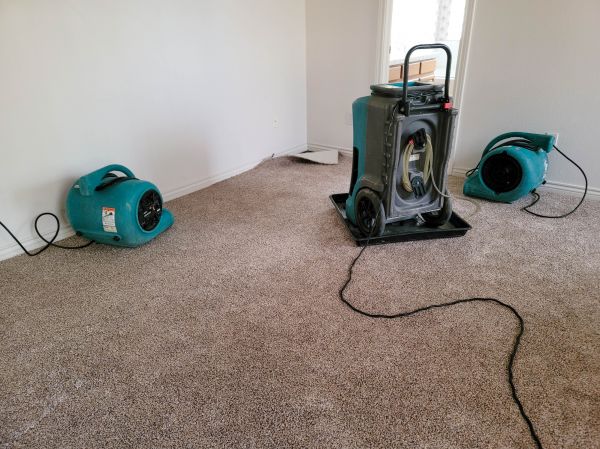 Water Damage Repair in Rochester