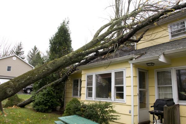 Hurricane Damage Repair in Rochester