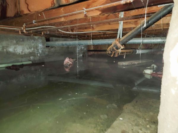 Crawlspace Water Restoration in Rochester