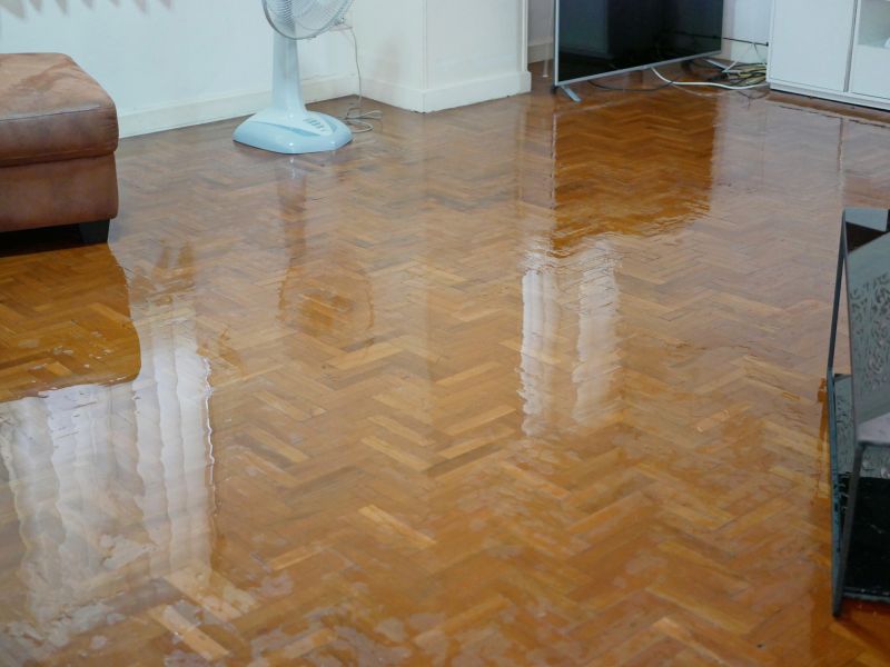 Flooded Floor Repair
